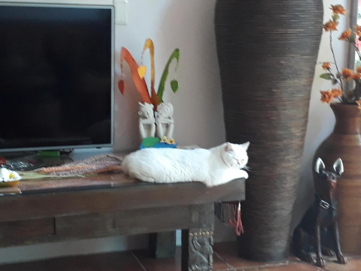 Bali House Apartman Hualien Kültér fotó