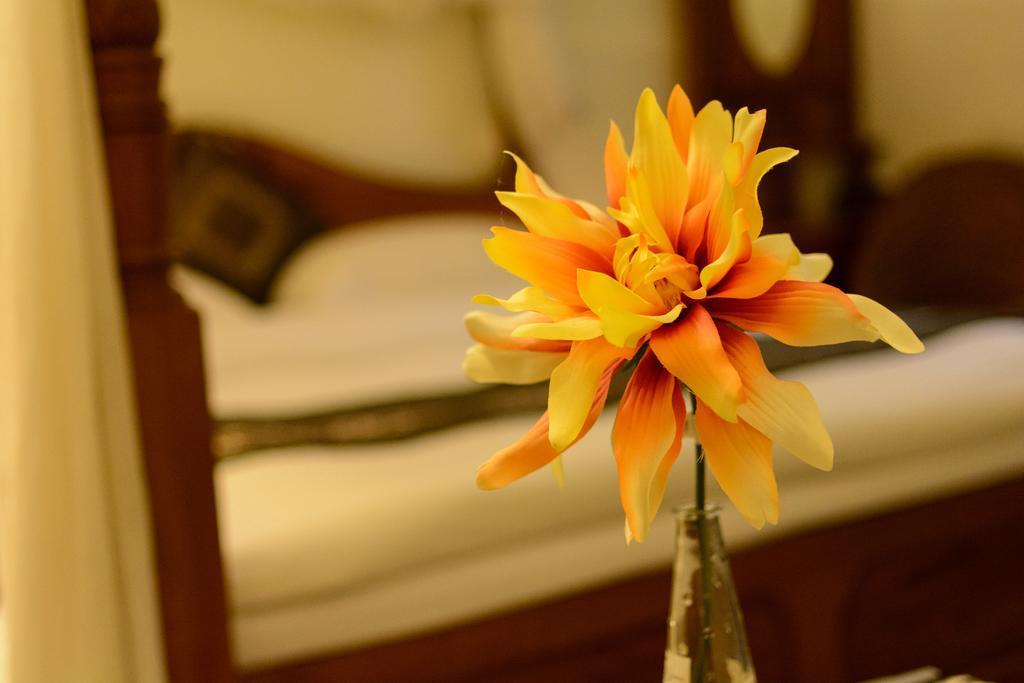 Bali House Apartman Hualien Kültér fotó