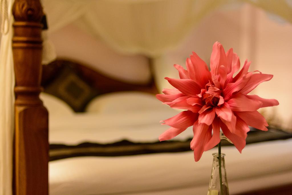 Bali House Apartman Hualien Kültér fotó